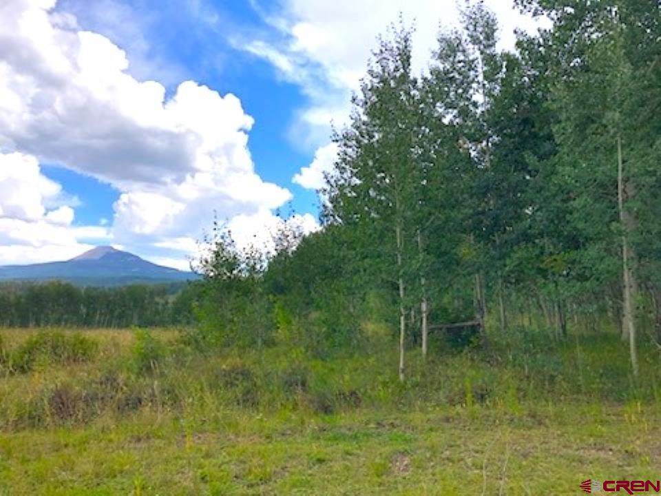 Tbd Forest Service Road 611 Road Placerville, CO 81430 - Photo 9 of 20 a view of green field with trees in the background