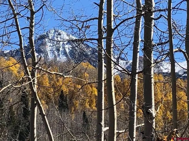 a view of a city with lush green forest