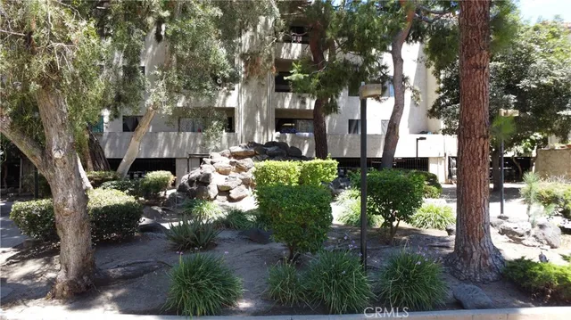 a view of a garden with a tree