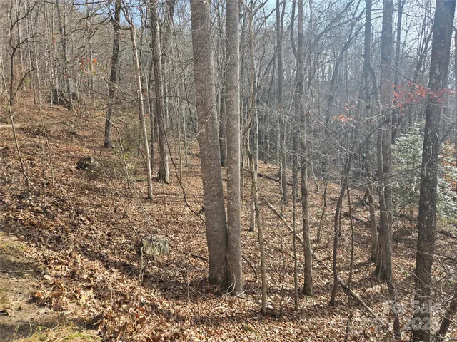 $28,000 | 0 Stone Pillow Road, Unit 14B, Tuckasegee, NC 28783