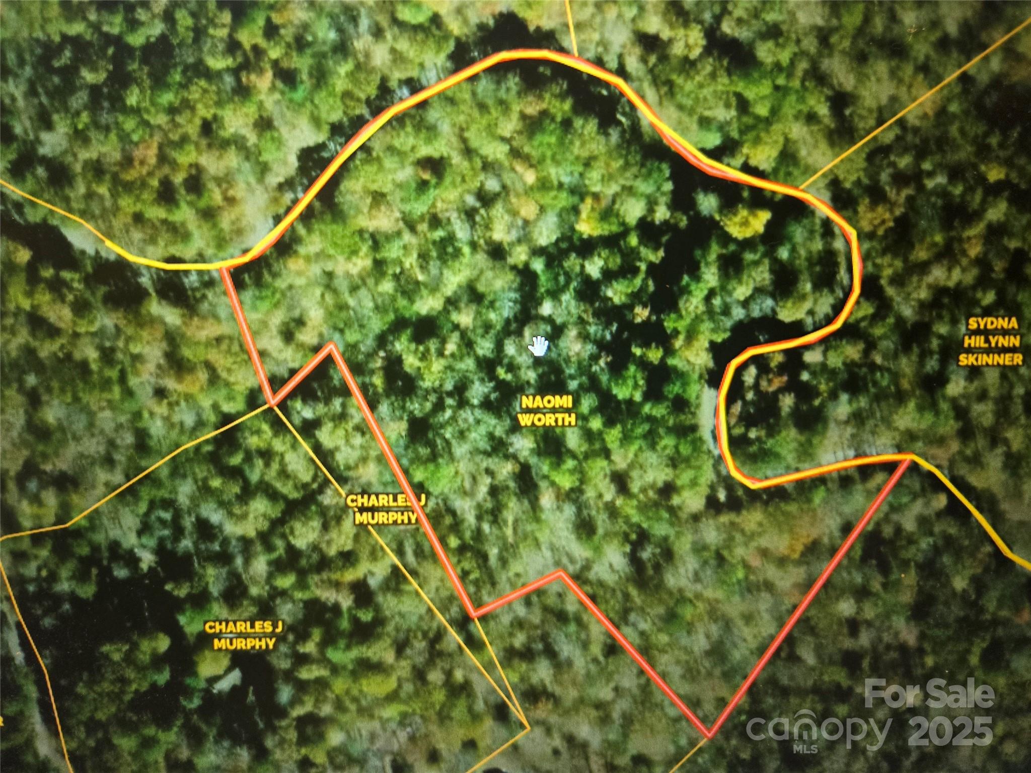 0 Stone Pillow Road, Unit 14B Tuckasegee, NC 28783 - Photo 9 of 10