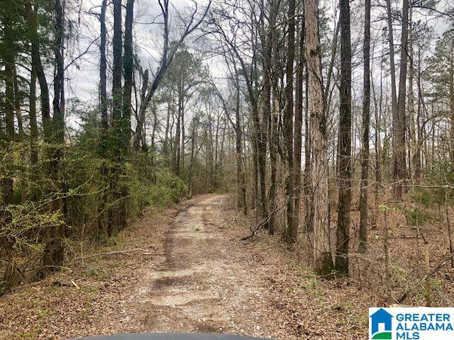0 Stage Coach Road Alabaster, AL 35007 - Photo 2 of 6