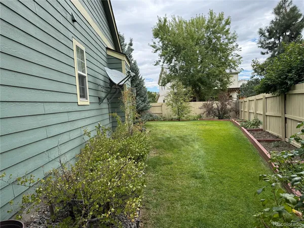 a view of a yard with potted plants and large trees