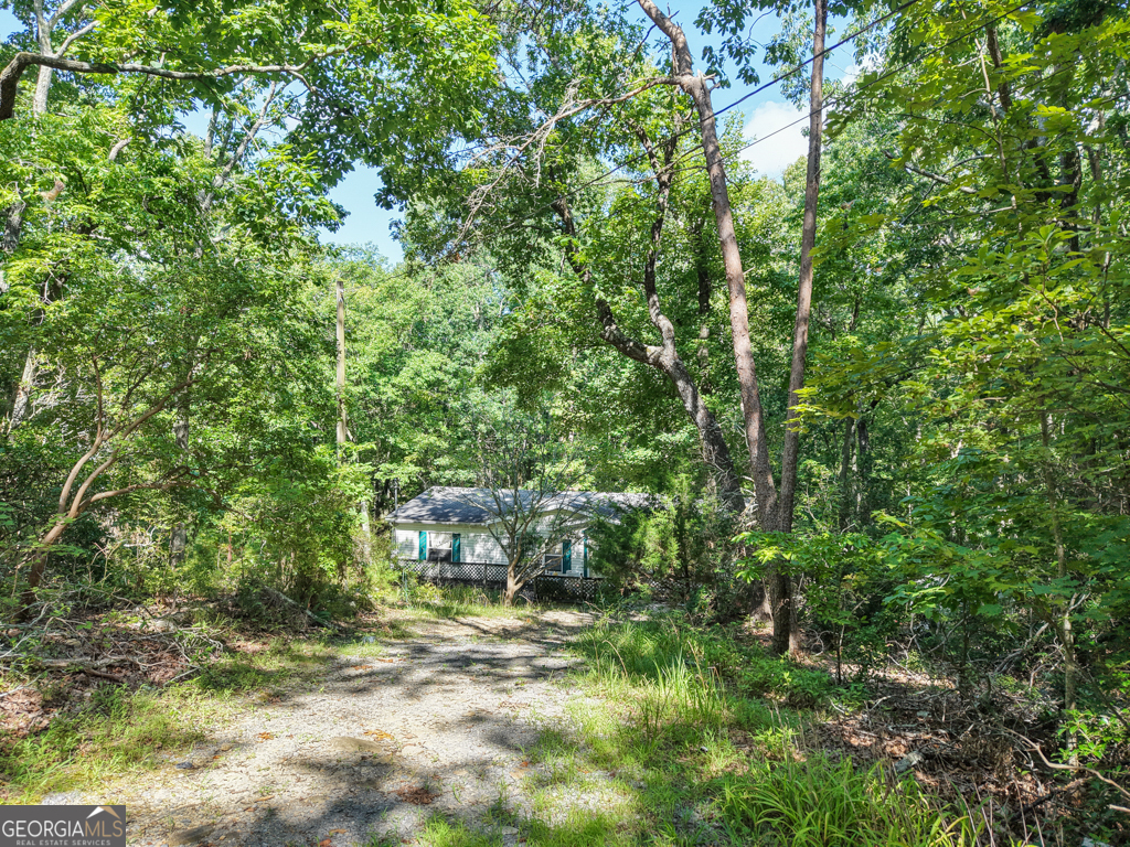 156 Mulberry Circle Jasper, GA 30143 - Photo 2 of 11 a view of a yard with plants and large trees