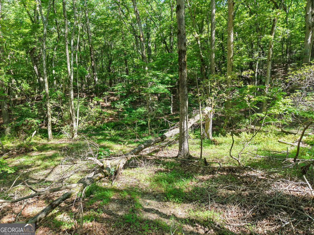 156 Mulberry Circle Jasper, GA 30143 - Photo 10 of 11