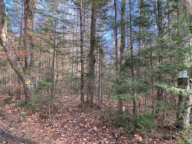 Kilton Road Canaan, NH 03741 - Photo 11 of 32 Gallery Image 11