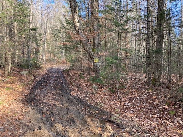 Kilton Road Canaan, NH 03741 - Photo 12 of 32 Gallery Image 12