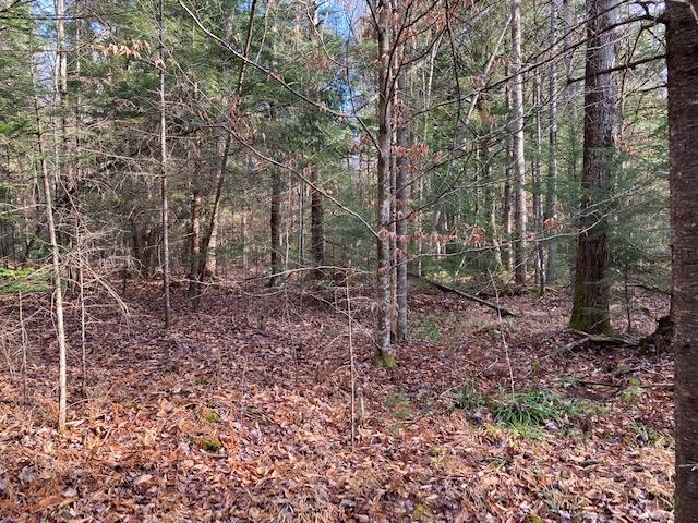 Kilton Road Canaan, NH 03741 - Photo 16 of 32 Gallery Image 16