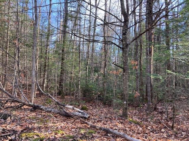 Kilton Road Canaan, NH 03741 - Photo 17 of 32 Gallery Image 17