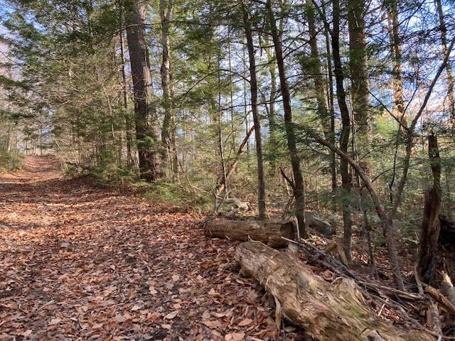 Kilton Road Canaan, NH 03741 - Photo 18 of 32 Gallery Image 18