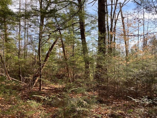 Kilton Road Canaan, NH 03741 - Photo 19 of 32 Gallery Image 19