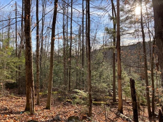 Kilton Road Canaan, NH 03741 - Photo 21 of 32 Gallery Image 21