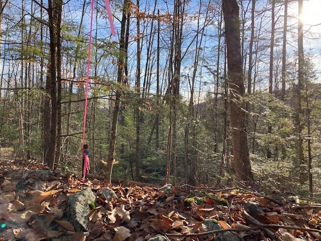 Kilton Road Canaan, NH 03741 - Photo 22 of 32 Gallery Image 22