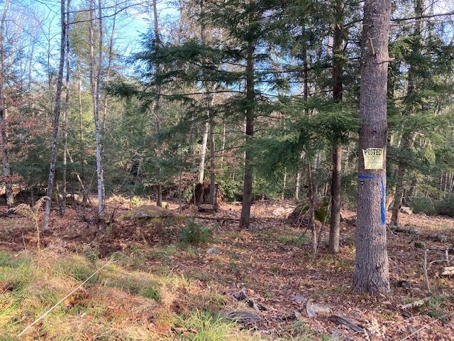 Kilton Road Canaan, NH 03741 - Photo 25 of 32 Gallery Image 25