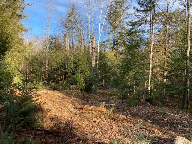 Kilton Road Canaan, NH 03741 - Photo 27 of 32 Gallery Image 27