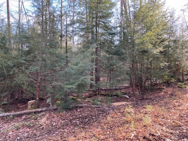 Kilton Road Canaan, NH 03741 - Photo 28 of 32 Gallery Image 28