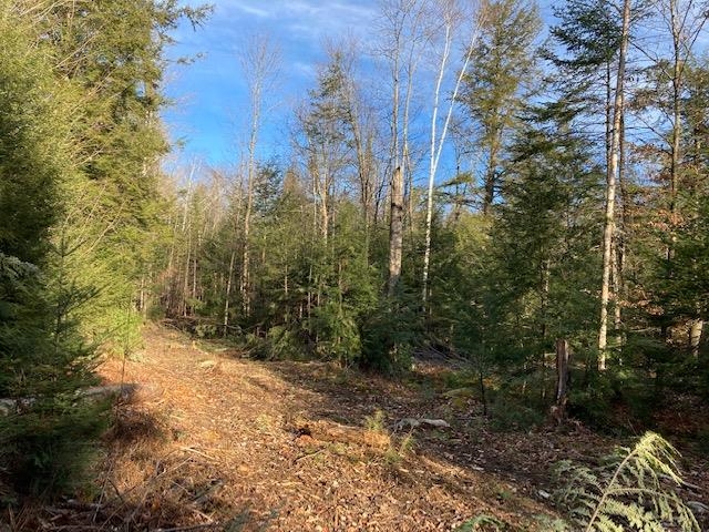 Kilton Road Canaan, NH 03741 - Photo 29 of 32 Gallery Image 29