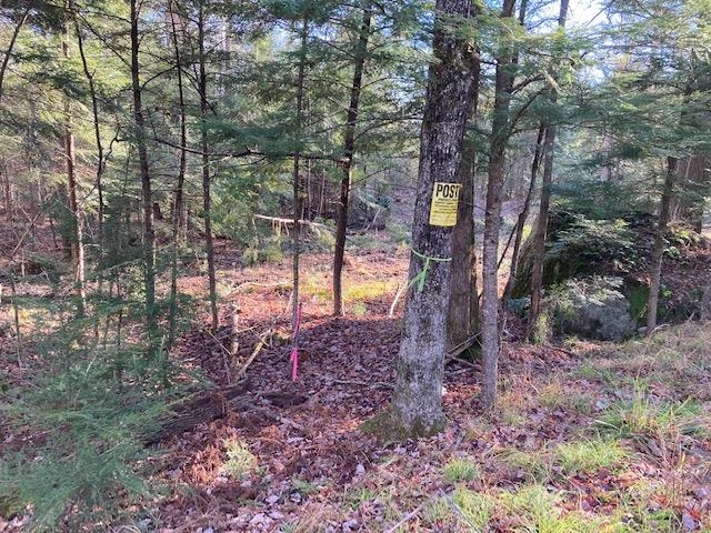 Kilton Road Canaan, NH 03741 - Photo 31 of 32 Gallery Image 31