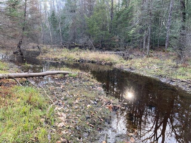 Kilton Road Canaan, NH 03741 - Photo 6 of 32 Gallery Image 6