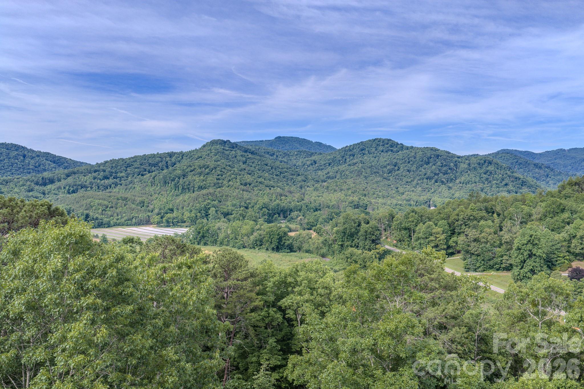 4733 Bat Cave Road Old Fort, NC 28762 - Photo 35 of 36