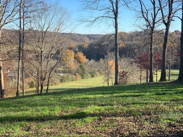 5716 Davis Hollow Road Franklin, TN 37064 - Photo 1 of 23 Gallery Image 1