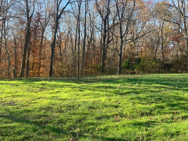 5716 Davis Hollow Road Franklin, TN 37064 - Photo 2 of 23 Gallery Image 2