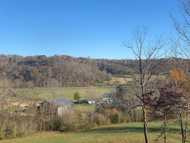 5716 Davis Hollow Road Franklin, TN 37064 - Photo 11 of 23 Gallery Image 11