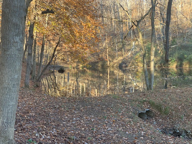 5716 Davis Hollow Road Franklin, TN 37064 - Photo 12 of 23 Gallery Image 12