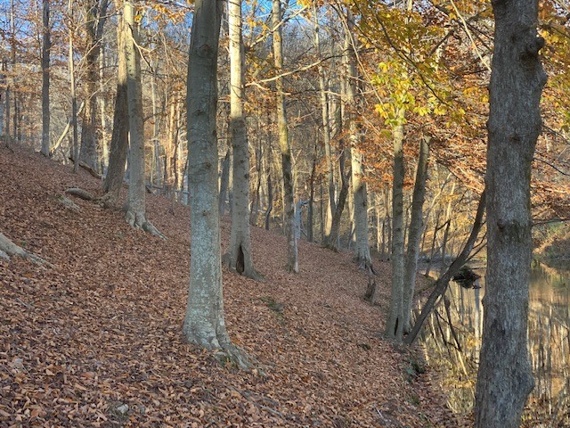 5716 Davis Hollow Road Franklin, TN 37064 - Photo 13 of 23 Gallery Image 13