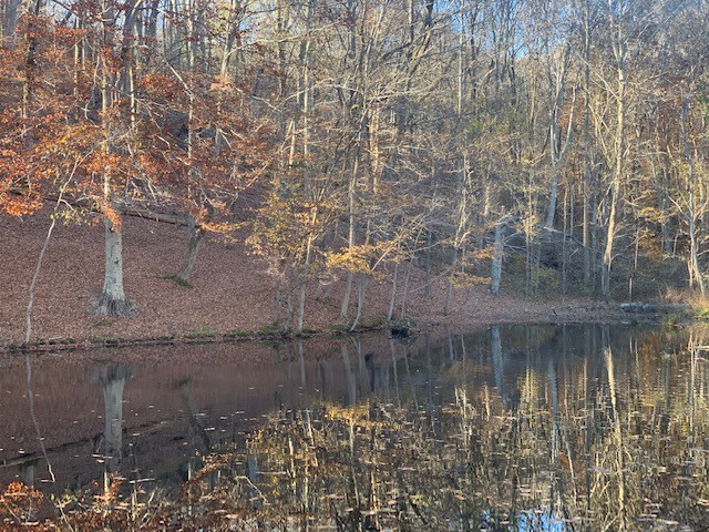 5716 Davis Hollow Road Franklin, TN 37064 - Photo 14 of 23 Gallery Image 14