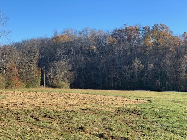 5716 Davis Hollow Road Franklin, TN 37064 - Photo 15 of 23 Gallery Image 15