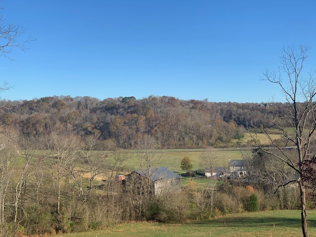 5716 Davis Hollow Road Franklin, TN 37064 - Photo 17 of 23 Gallery Image 17