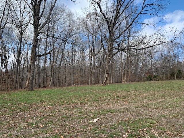 5716 Davis Hollow Road Franklin, TN 37064 - Photo 19 of 23 Gallery Image 19