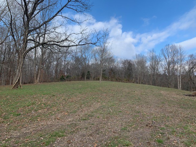 5716 Davis Hollow Road Franklin, TN 37064 - Photo 20 of 23 Gallery Image 20
