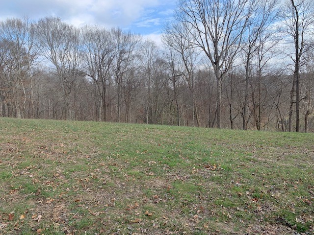 5716 Davis Hollow Road Franklin, TN 37064 - Photo 21 of 23 Gallery Image 21