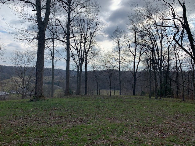 5716 Davis Hollow Road Franklin, TN 37064 - Photo 22 of 23 Gallery Image 22