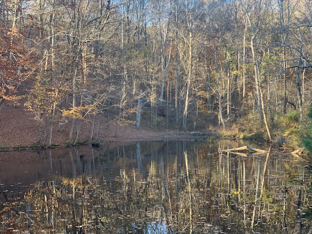 5716 Davis Hollow Road Franklin, TN 37064 - Photo 4 of 23 Gallery Image 4