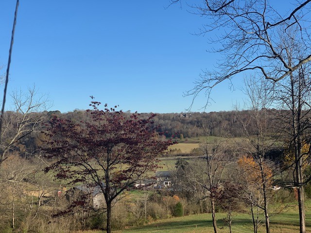 5716 Davis Hollow Road Franklin, TN 37064 - Photo 7 of 23 Gallery Image 7