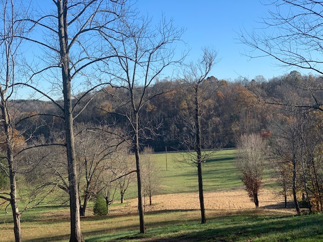 5716 Davis Hollow Road Franklin, TN 37064 - Photo 8 of 23 Gallery Image 8