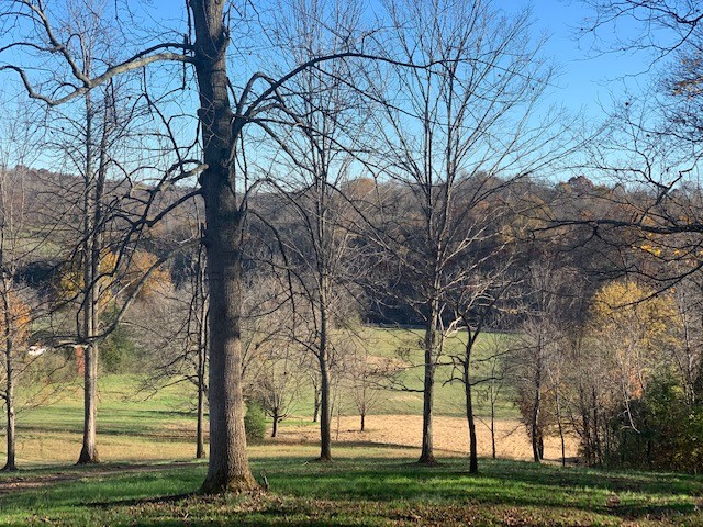 5716 Davis Hollow Road Franklin, TN 37064 - Photo 10 of 23 Gallery Image 10