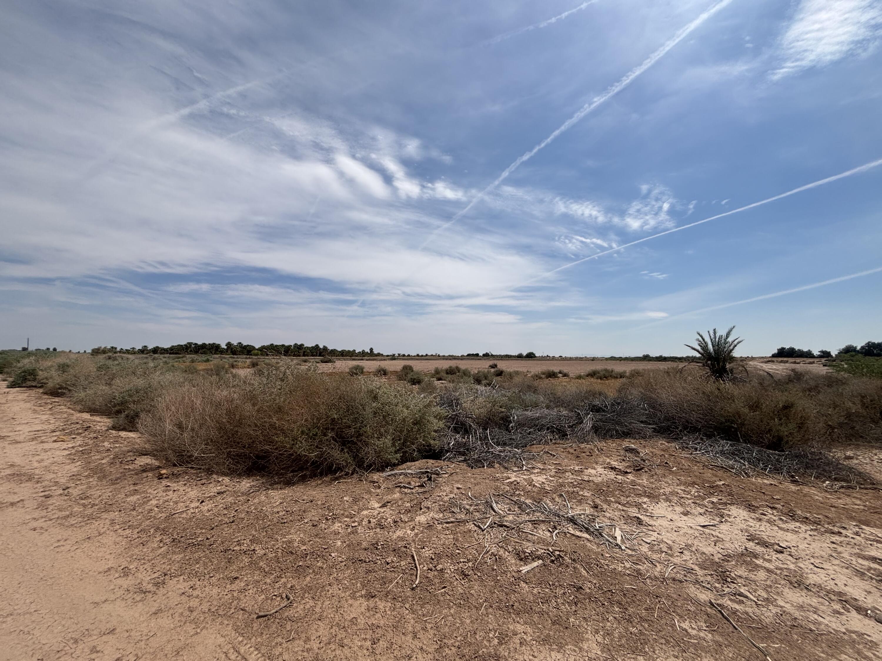 3343 Sweet Road Imperial, CA 92251 - Photo 7 of 9 IMG_4854