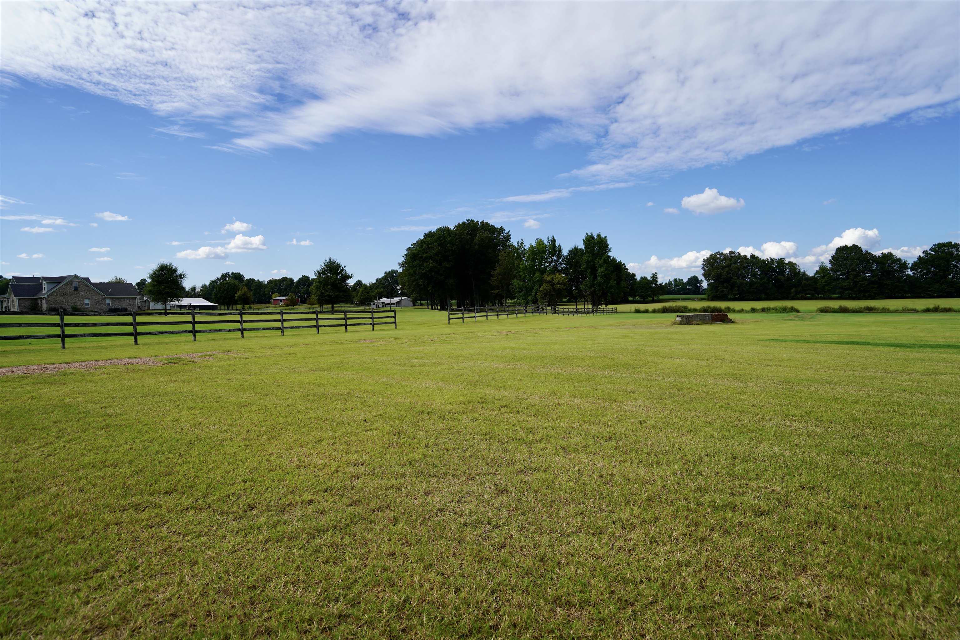 4556 Gainsville Road Mason, TN 38049 - Photo 9 of 33 View of yard featuring a rural view