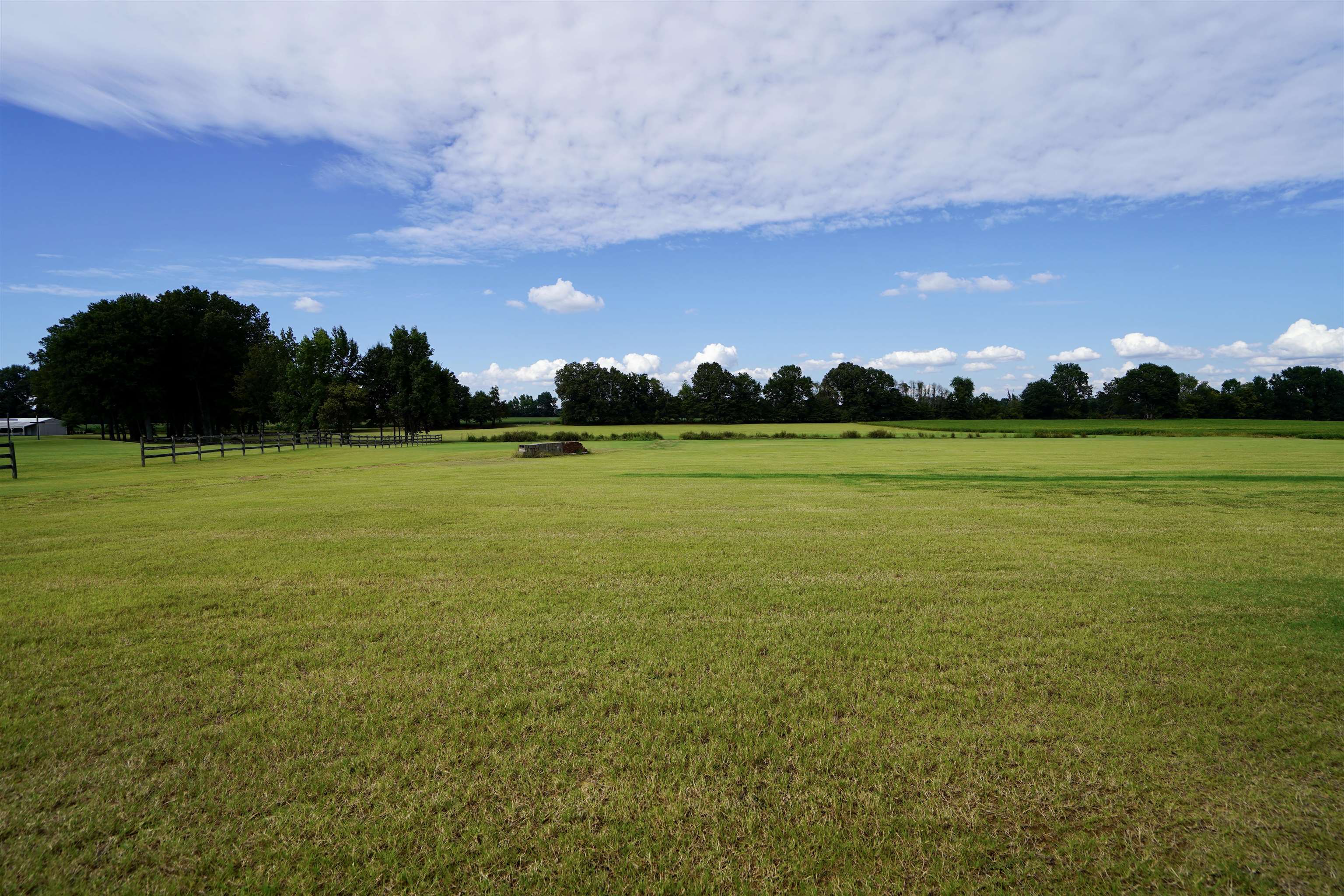 4556 Gainsville Road Mason, TN 38049 - Photo 10 of 33 View of yard with a rural view