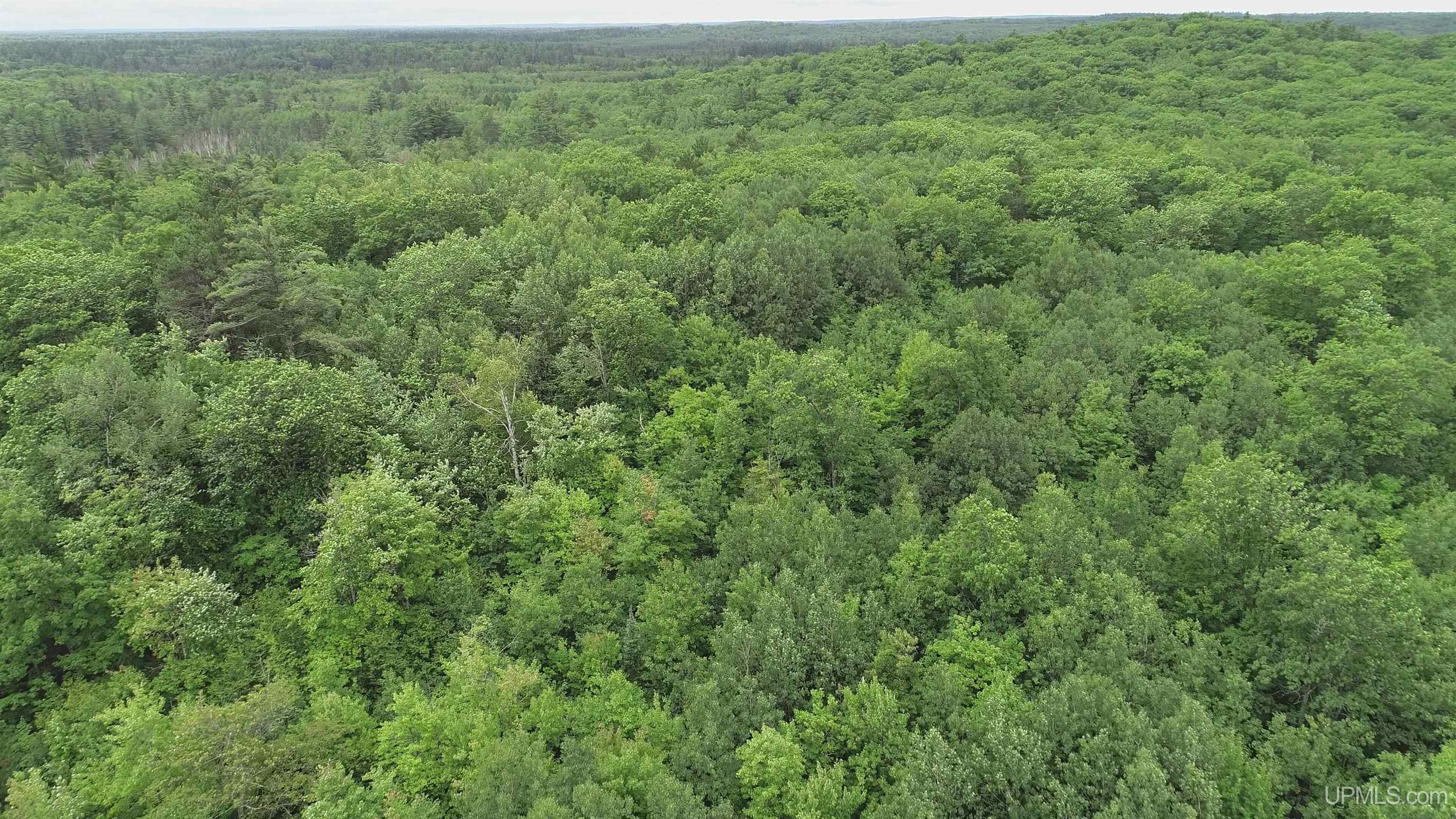 565 County Road 565 Road Gwinn, MI 49841 - Photo 31 of 35