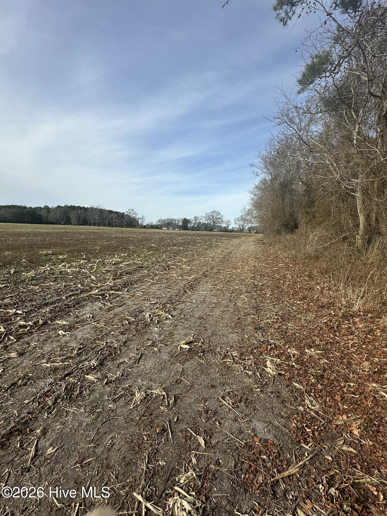 2 Fisher Landing Road Grandy, NC 27939 - Photo 1 of 9 Deeded Easement to property