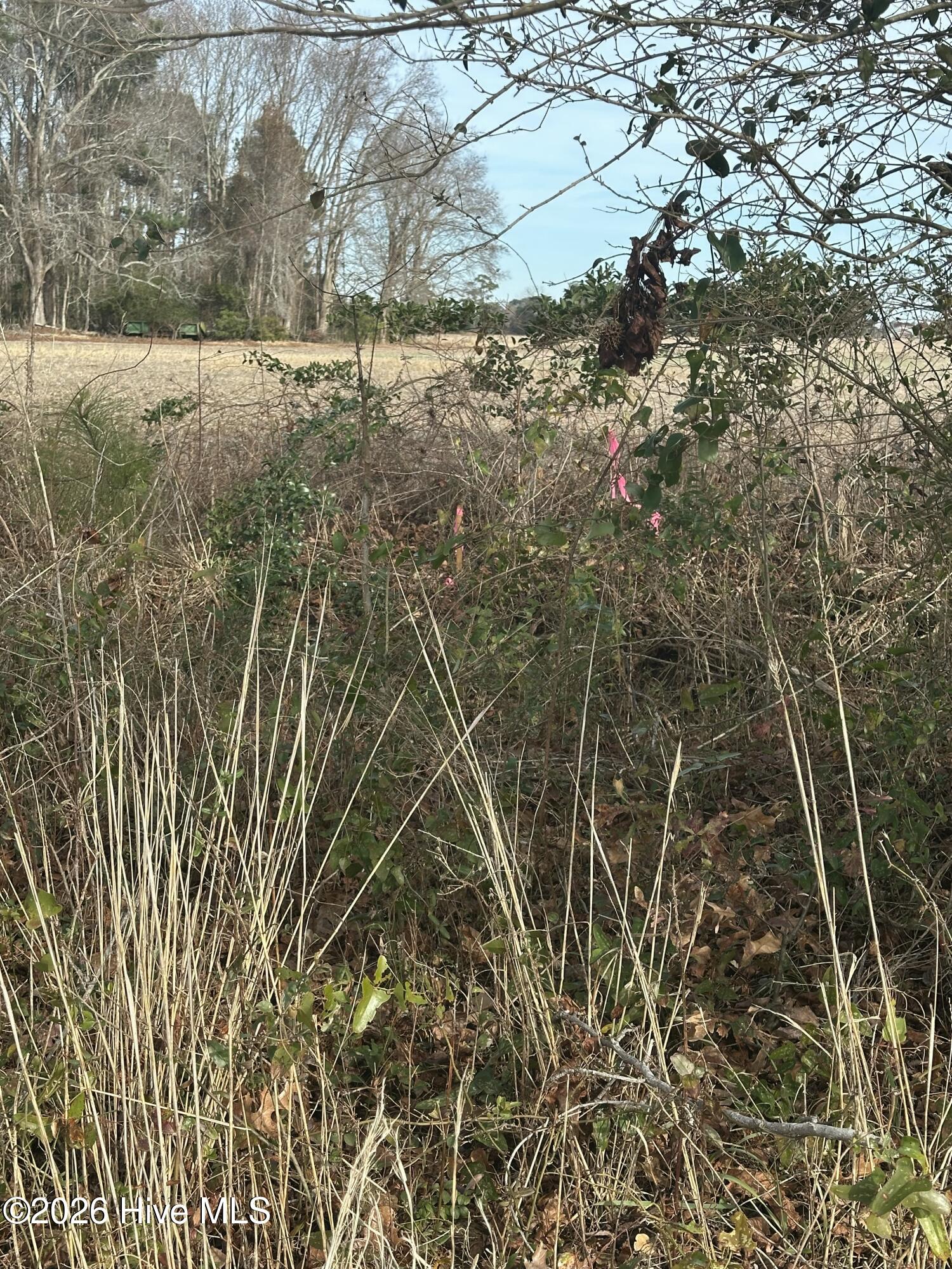 2 Fisher Landing Road Grandy, NC 27939 - Photo 2 of 9 SE boundary marker - beginning of property