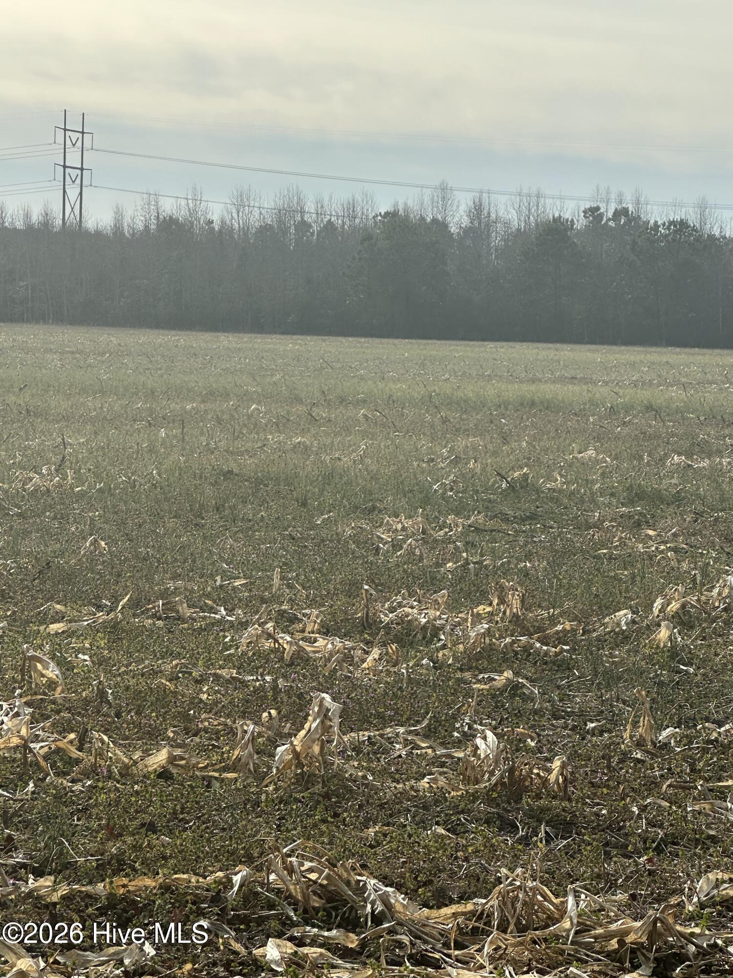 2 Fisher Landing Road Grandy, NC 27939 - Photo 3 of 9 View from NE corner facing west