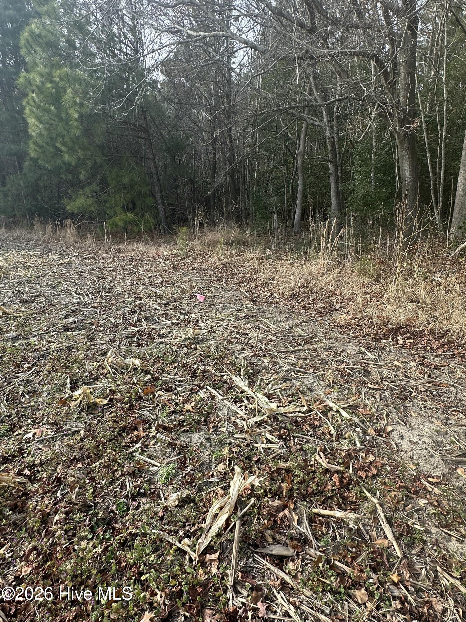 2 Fisher Landing Road Grandy, NC 27939 - Photo 4 of 9 NW corner marker