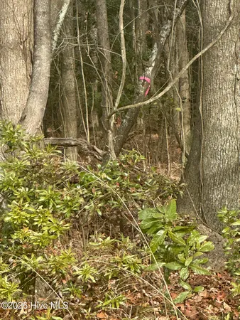 $395,000 | 2 Fisher Landing Road, Grandy, NC 27939