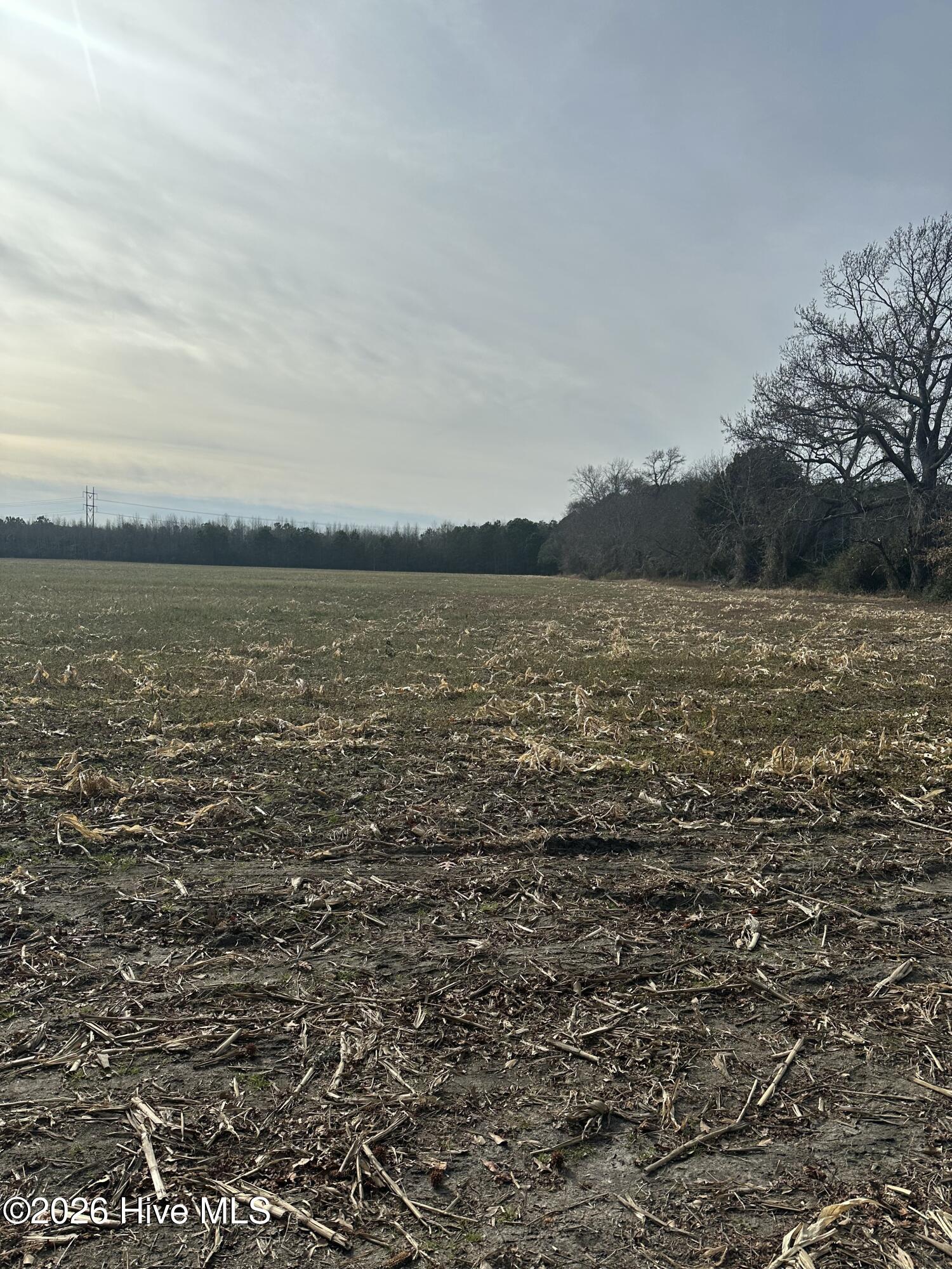 2 Fisher Landing Road Grandy, NC 27939 - Photo 6 of 9 North end facing south